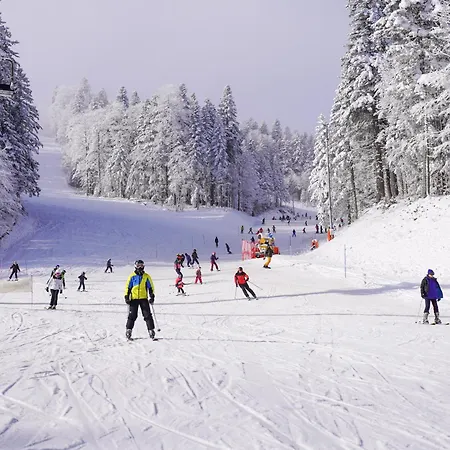 Отель Hotel Han Bjelasnica